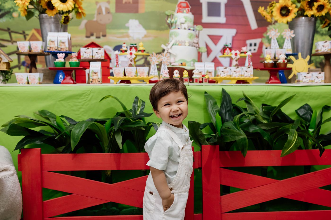 Aniversário Infantil - 2 aninhos Romeu